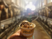 Crème glacée pistache