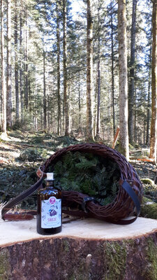 Gin 'sadjé'