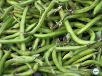 Fève fraiche