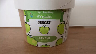 Sorbet pomme kiwi individuel