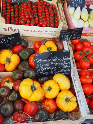 Plant de tomate ananas
