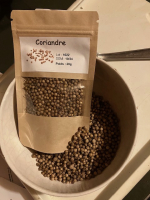 Graines de coriandre