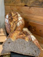 Le méteil plein champs (variété ancienne)