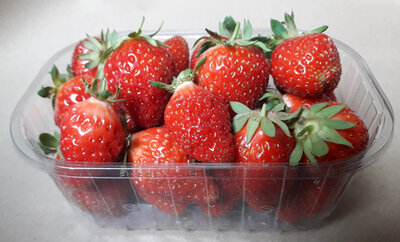 Fraises de plein champ
