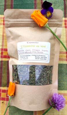 J'temmène au vent