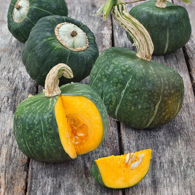 Plant courge buttercup