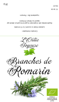 Romarin en branche
