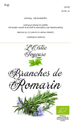 Romarin en branche