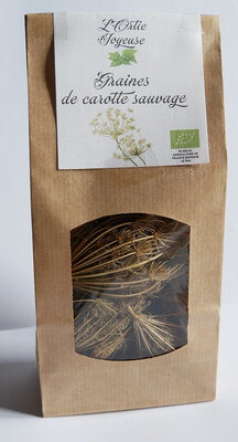 Graines de carottes sauvage