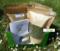 Cure d'orties séchées