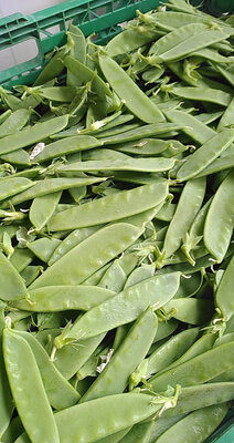Mange tout