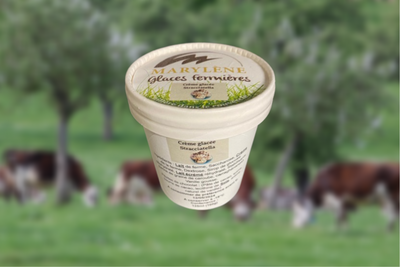 Crème glacée stracciatella petit pot
