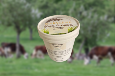Crème glacée fleur de lait petit pot