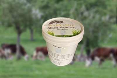 Glace yaourt petit pot