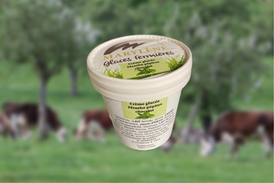 Crème glacée menthe pépites de chocolat petit