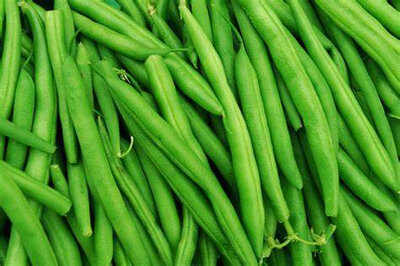 Haricots vert