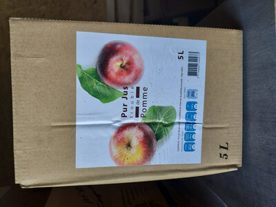 Jus de pomme fermier (cubi 5l)