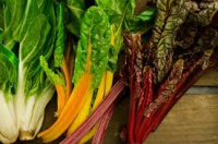 Blette à carde blanche ou rouge