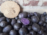 Pommes de terre nouvelles 'gaïane'