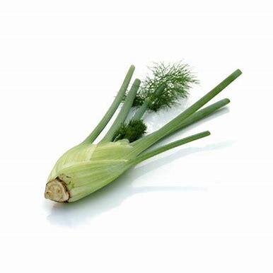 Fenouil