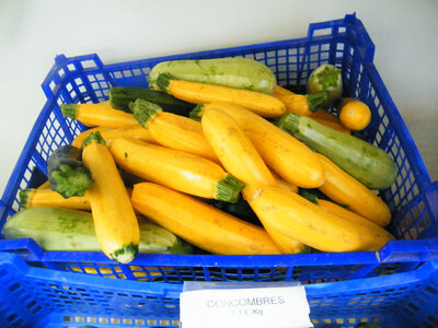 Mini-courgettes