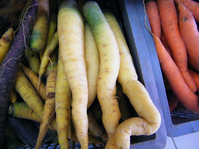 Carottes blanches