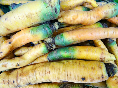 Carottes jaunes