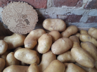 Pommes de terre nouvelles charlotte