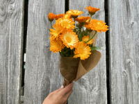 Botte de fleurs - souci