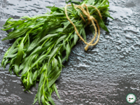 Estragon frais