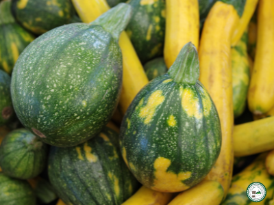 Courgette