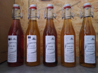 Sirop de plantes ab (33 cl)