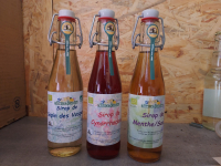 Sirop de plantes ab (25 cl)