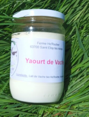 Yaourt vache bio