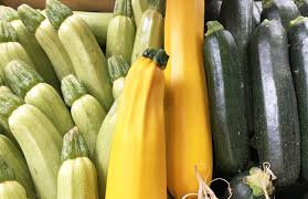 Courgette allongées
