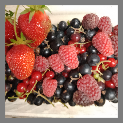 Barquette de fruits rouges