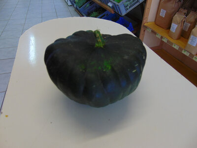 Pâtisson vert
