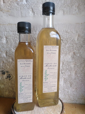 Sirop de menthe verte 250ml