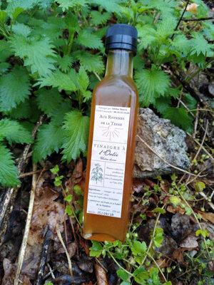 Vinaigre à l'ortie