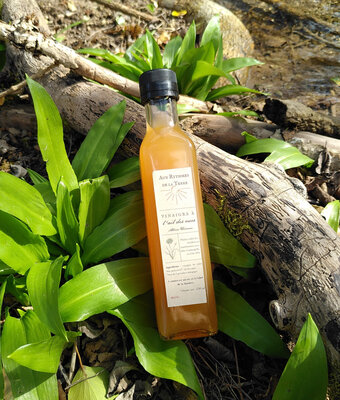 Vinaigre à l'ail des ours