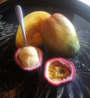 Glace yaourt mangue-passion