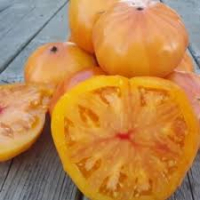 Tomates coeur ananas