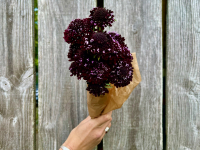 Botte de fleurs - scabieuse