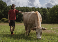Colis de viande de boeuf - type traditionnel