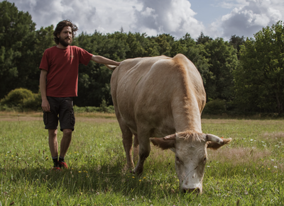 Colis de viande de boeuf - type traditionnel