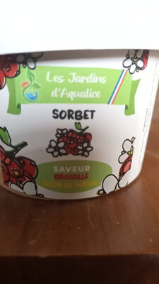 Sorbet groseille / fleur de sureau