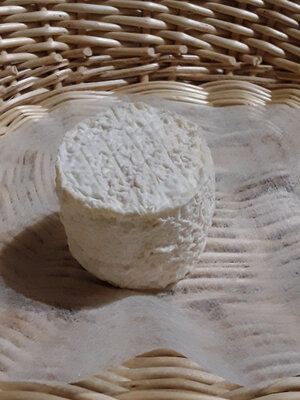 Crottin de chèvre demi-sec