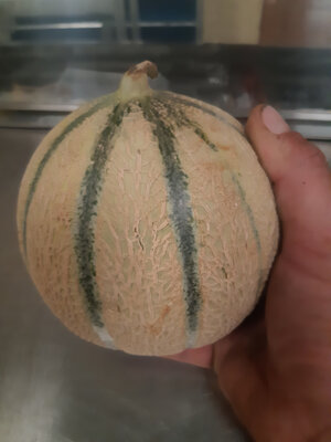 Melon