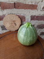 Courgette ronde à farcir