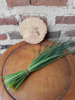 Bouquet de ciboulette